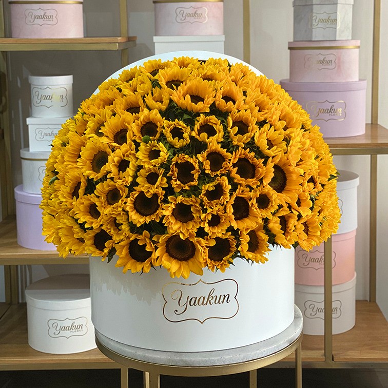 100 girasoles en caja redonda maxi abrazo