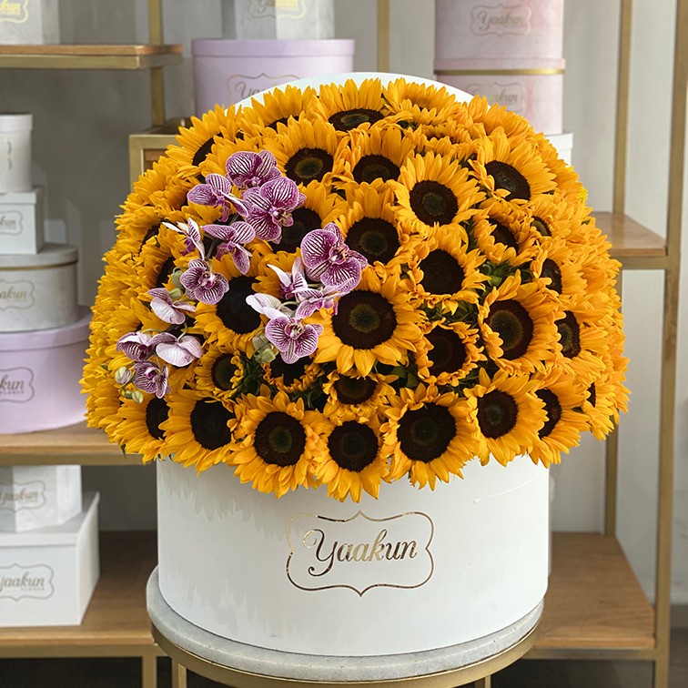 100 girasoles & orquídeas phalaenopsis en caja redonda blanca