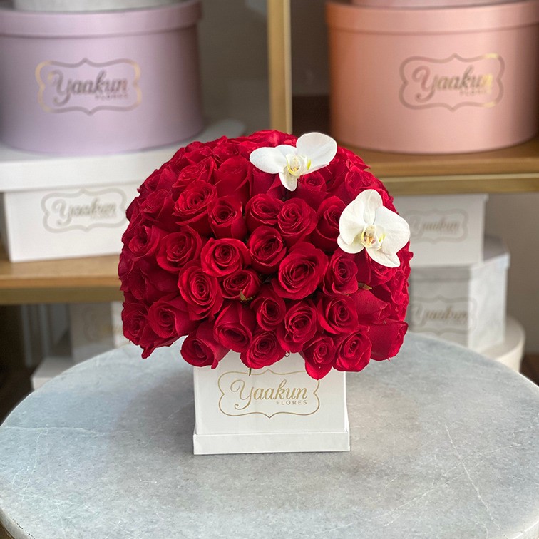 100 rosas rojas & 2 orquídeas phalaenopsis en mini caja yaakun