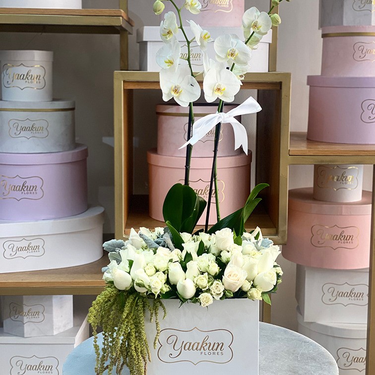 12 rosas blancas y orquídea blanca s en caja blanca yaakun