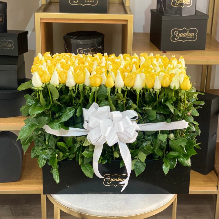 150 rosas amarillas y blancas jardín en caja negra