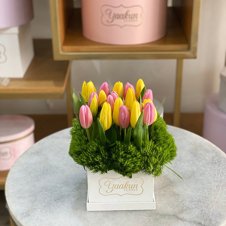 20 tulipanes en caja yaakun jardín especial