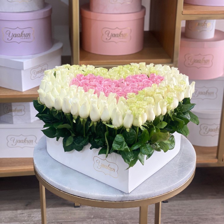200 rosas en caja corazón blanco & pink jardín grande