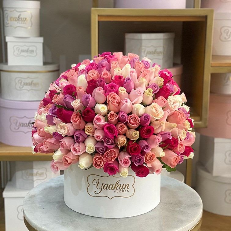 200 rosas en caja redonda blanca especial 4 colores