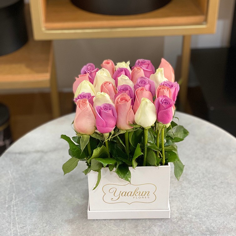 25 rosas pastel altas en caja blanca yaakun jardín