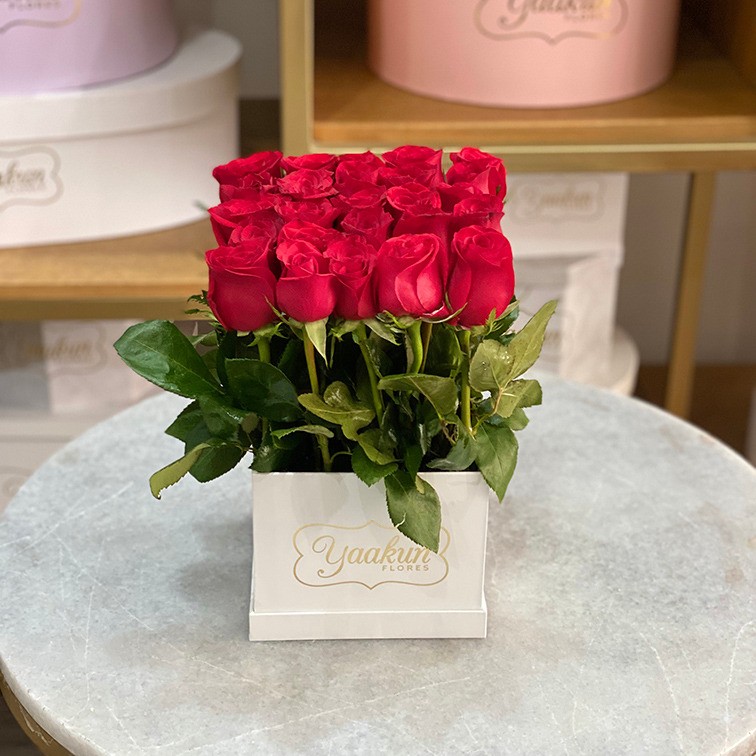 25 rosas rojas altas en caja blanca yaakun jardín