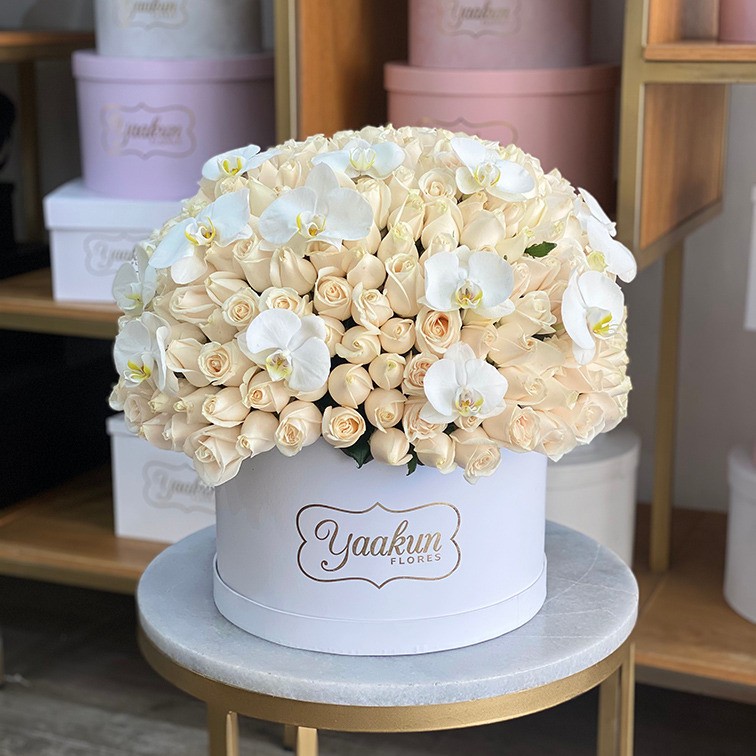 250 rosas blancas & 12 orquídeas en caja circular blanca dulce anhelo