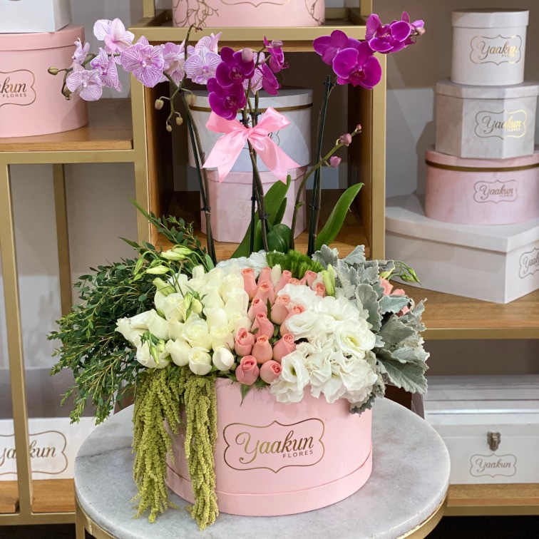 40 rosas & orquídeas en caja circular rosita mi cielo