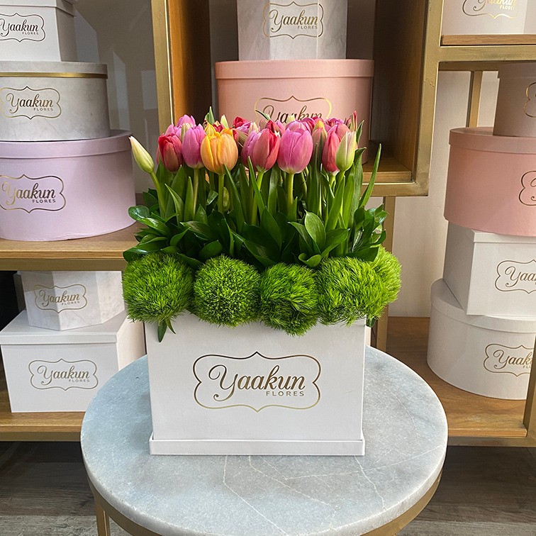 50 tulipanes en caja blanca yaakun tulipanes