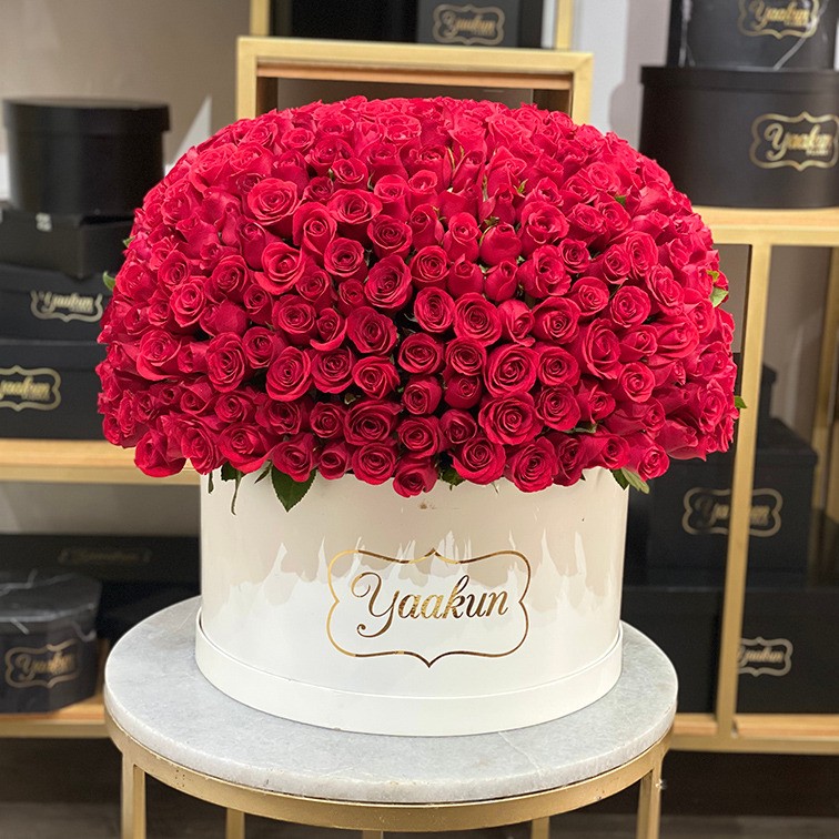 500 rosas rojas en caja redonda blanca