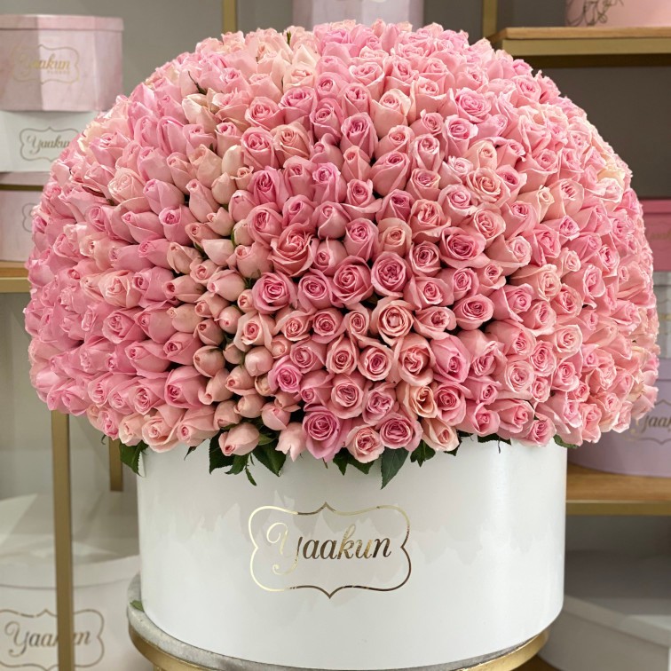 500 rosas rositas en media esfera en caja blanca