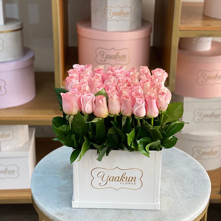 65 rosas altas en caja blanca yaakun jardín hermosa