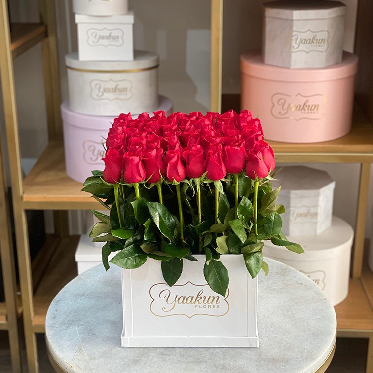 65 rosas rojas altas en caja blanca yaakun jardín