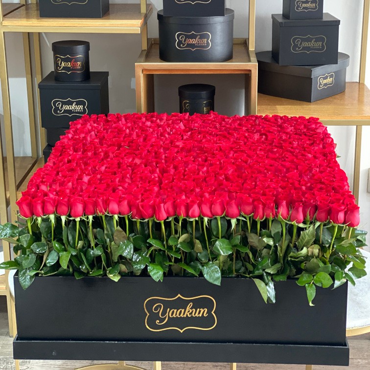 800 rosas en caja gigante mega yaakun jardín rojo