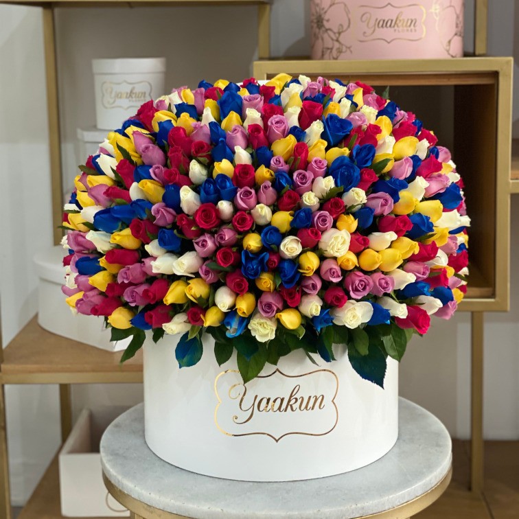 Caja blanca media esfera de 350 rosas fucsia, lila, blanco, amarillo y azul