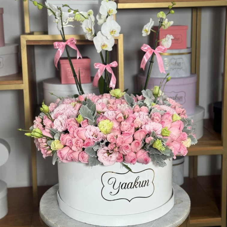 Caja circular blanca con 150 rosas rositas y 2 macetas de orquídea blanca