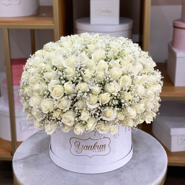Caja circular blanca con 200 rosas blancas y gypso