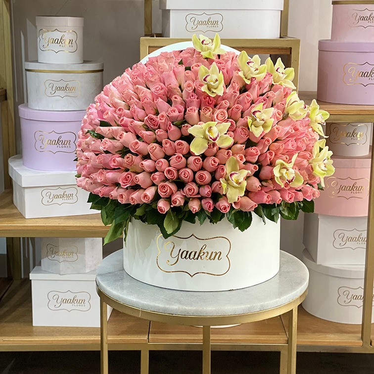 Caja circular blanca con 350 rosas rositas y orquídea verde phalenosis