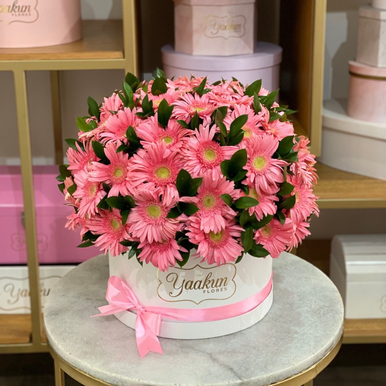 Caja circular blanca con 60 gerberas pink