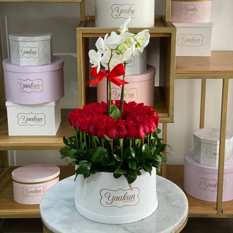Caja circular blanca con 70 rosas y maceta de orquídea phalenosis blanca