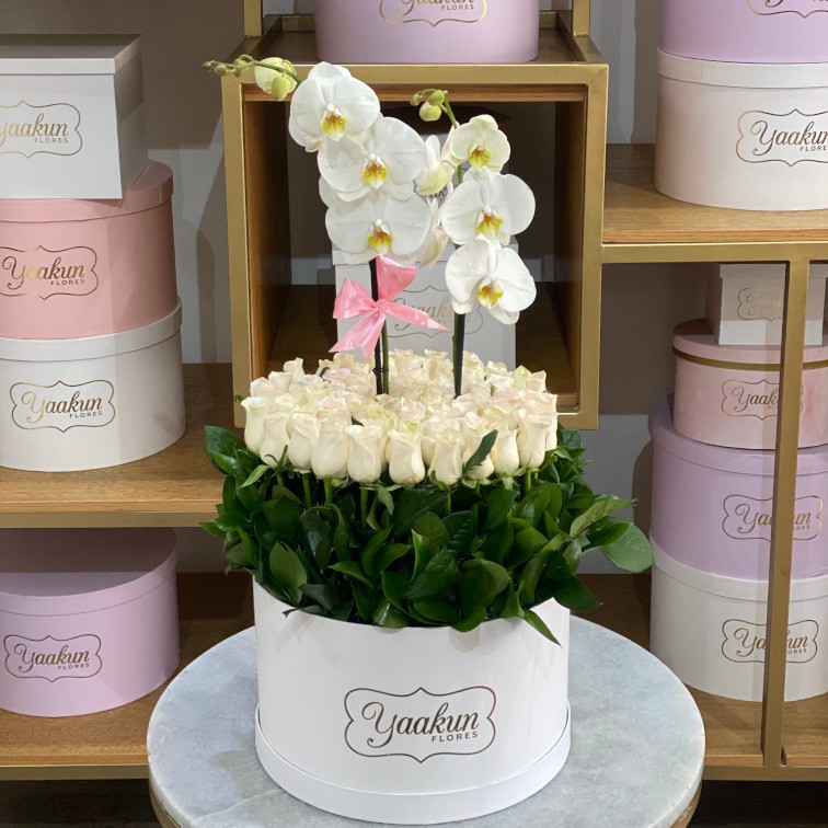 Caja circular blanca con 70 rosas y phalenosis amor puro