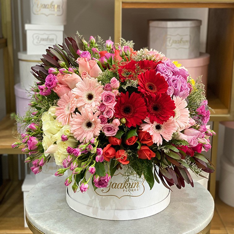 Caja circular blanca con gerberas, safari y baby rose