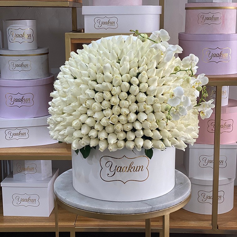 Caja circular blanca media esfera con 350 rosas blancas y 2 varas de phalenosis
