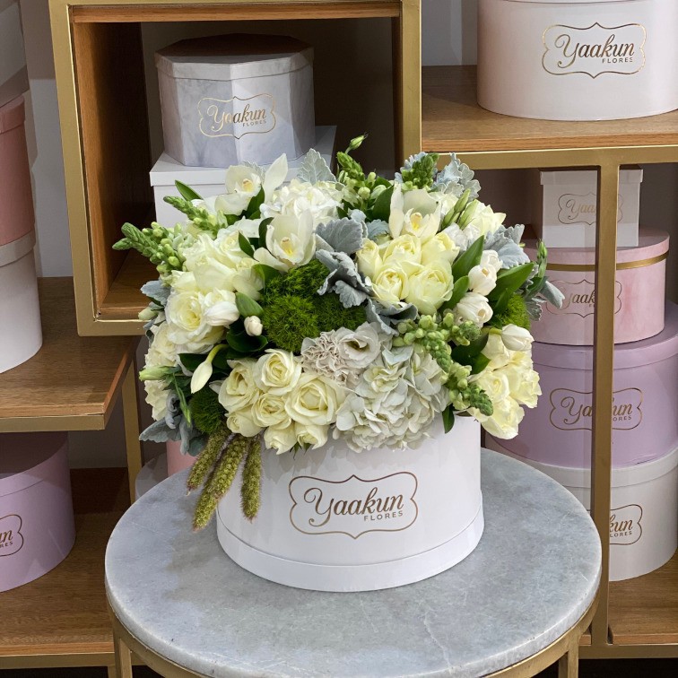 Caja circular blanca rosas, tulipanes y hortensias en tonos blancos con orquídeas