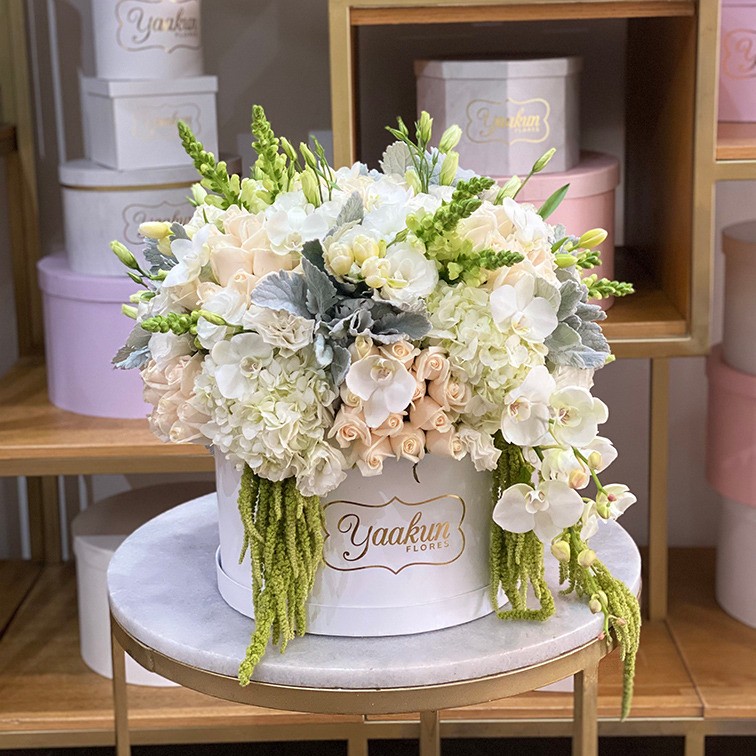 Caja circular blanca rosas, tulipanes y hortensias tonos blancos con orquídeas blancas