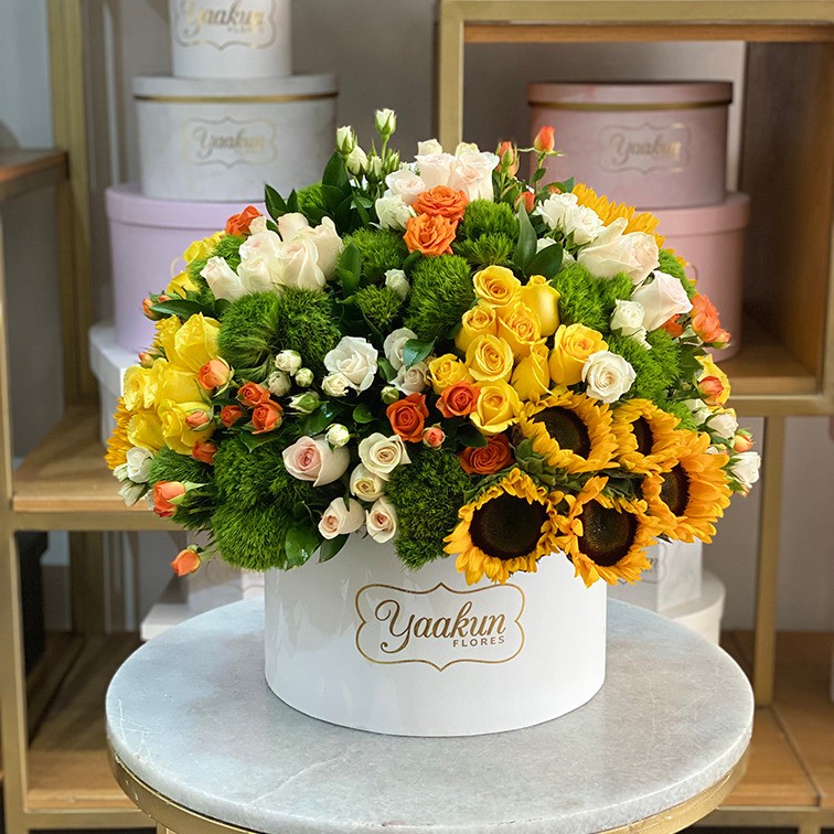 Caja circular blanca rosas y girasoles en hermosa primavera