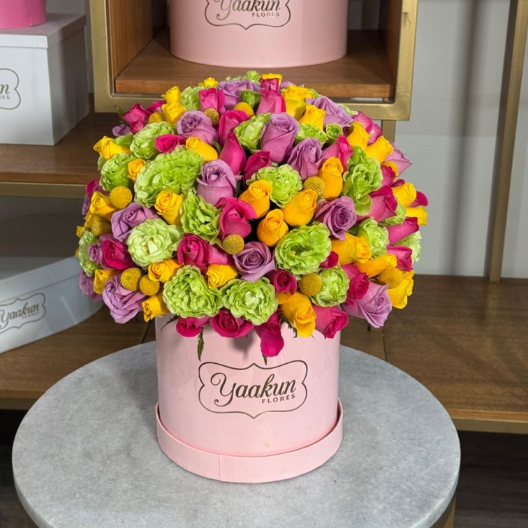 Caja circular con 75 rosas con lisianthus verde colorido