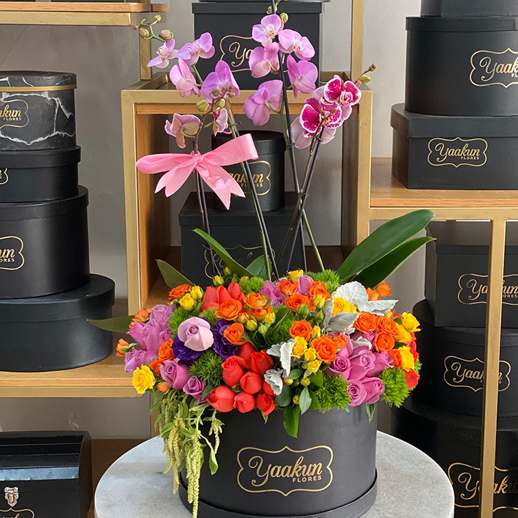 Caja circular negra con orquídeas, 50 rosas coloridas y follajes finos