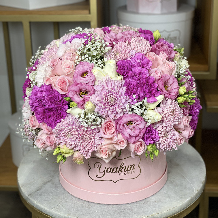 Caja circular rosita con 75 rosas rositas y blancas clavel y roxanas