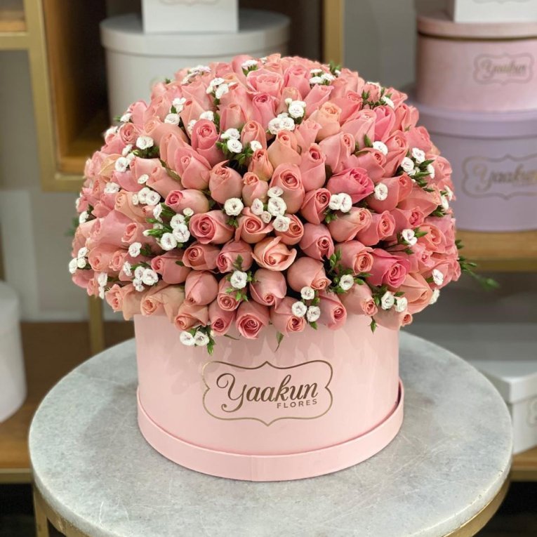 Caja circular rosita de 250 rosas rositas y toques de rafin blanco