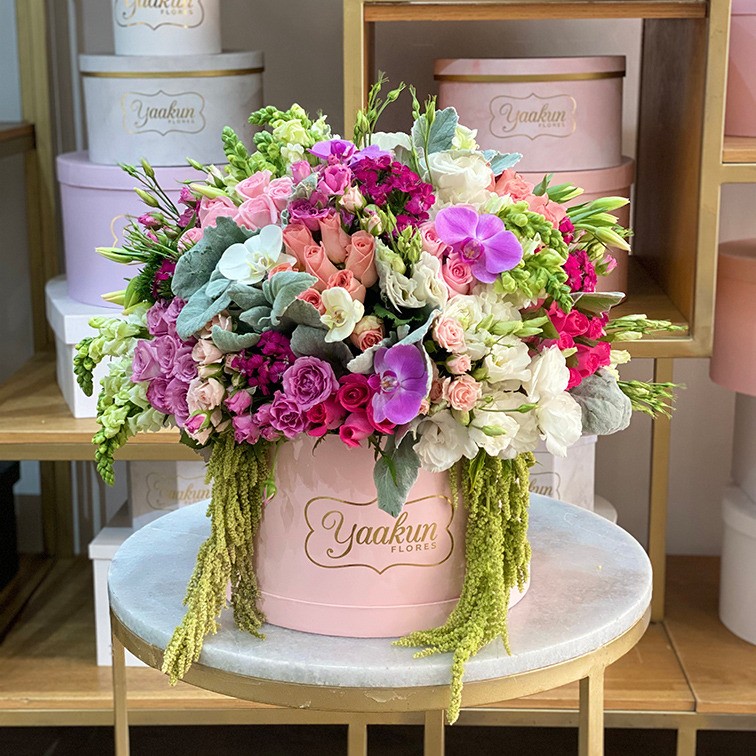 Caja circular rosita encanto pink