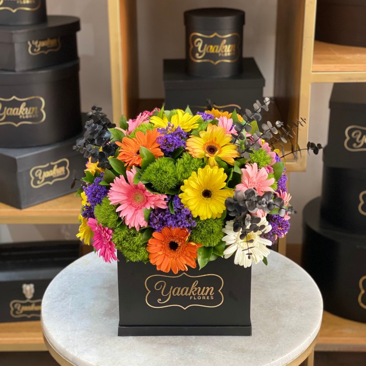 Caja cuadrada negra con 30 gerberas y follajes finos