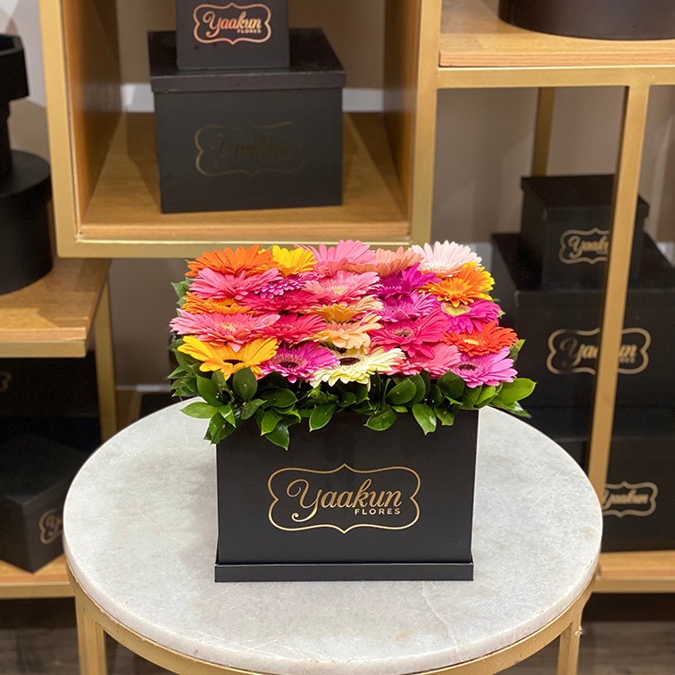 Caja cuadrada negra con gerberas mix alegría