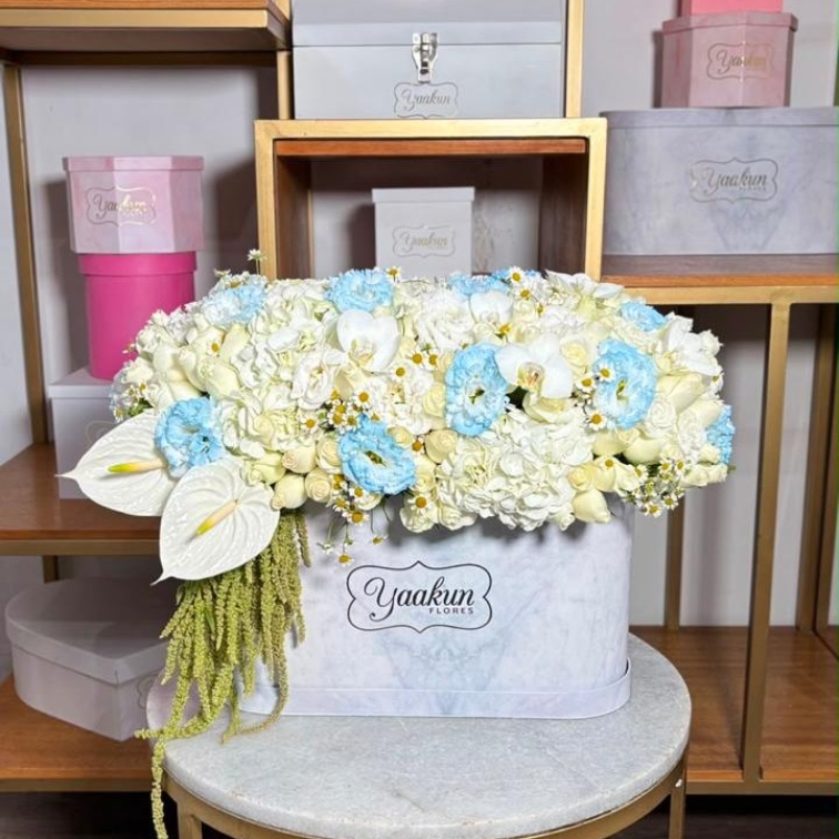 Caja ovalada blanca con 300 rosas is boy