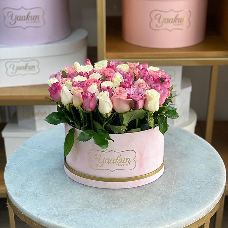 Caja ovalada rosita con 50 rosas te quiero jardín