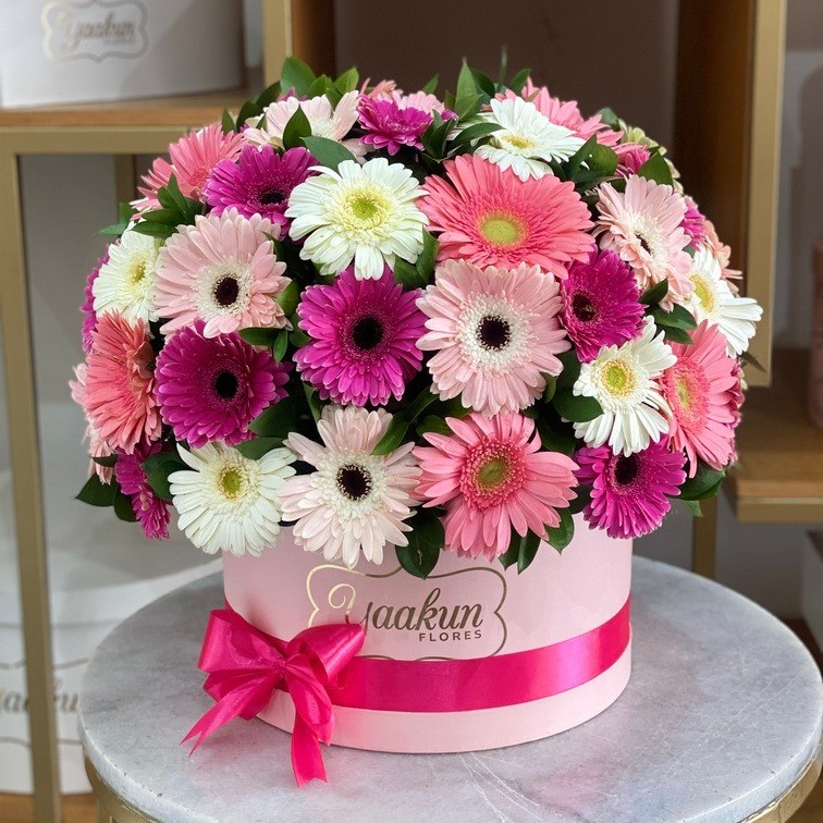 Caja rosita circular con 60 gerberas y ruscus con moño rosa