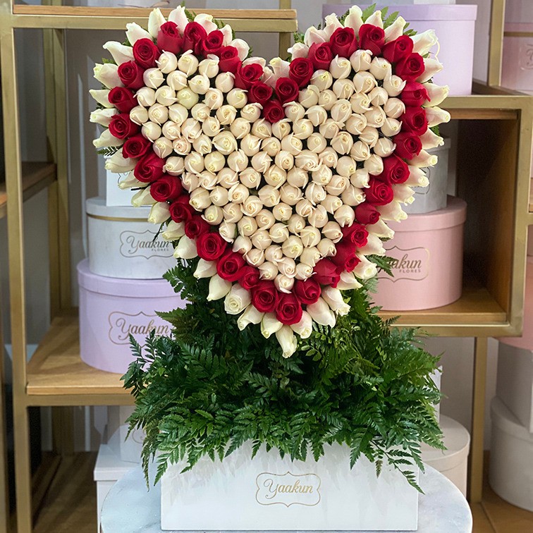 Corazón en escultura de 200 rosas blancas contorno rojo caja blanca