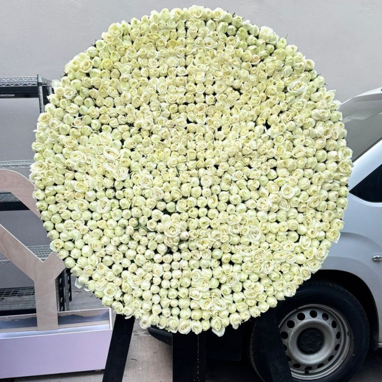Corona plana de 1000 rosas blancas
