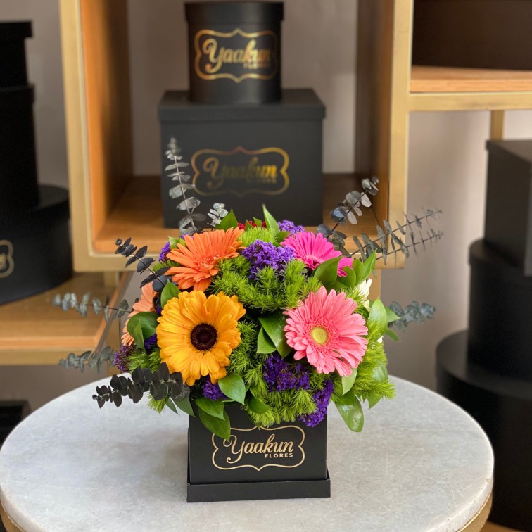 Gerberas en mini caja cuadrada