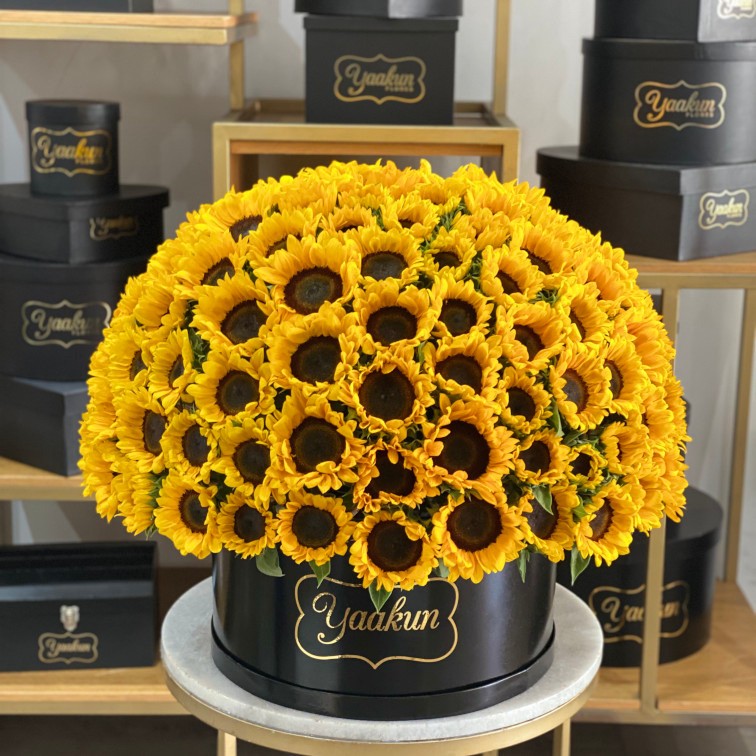 Girasoles en caja redonda esfera luz de día