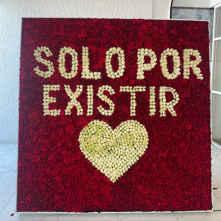 Mampara de 3500 rosas