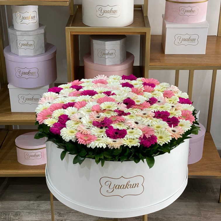 Maxi caja blanca con gerberas en tonos blancos y rositas con ruscus
