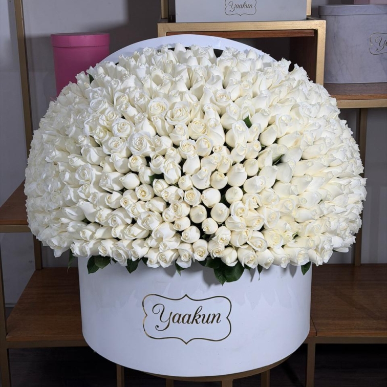 Maxi caja circular blanca con 500 rosas blancas media esfera