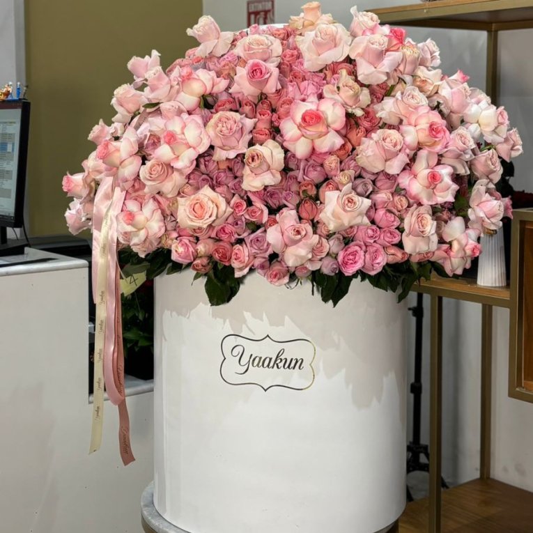 Maxi cilindro blanco con 500 rosas rositas