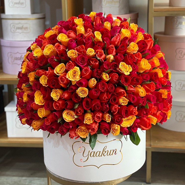 Media esfera de 350 rosas rojas, fucsia, amarillo y naranja en caja blanca