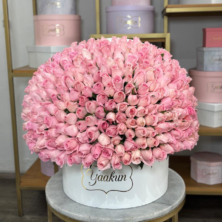 Media esfera de 350 rosas rositas en caja circular blanca